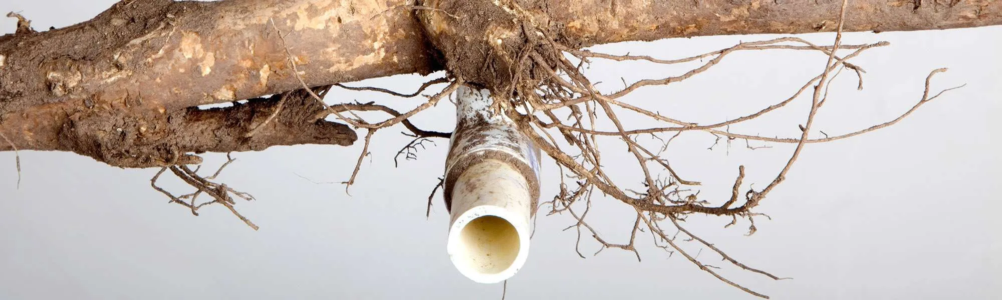 Sprinkler Line Rerouting